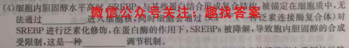 2023届衡水金卷先享题调研卷 新高考(四)生物