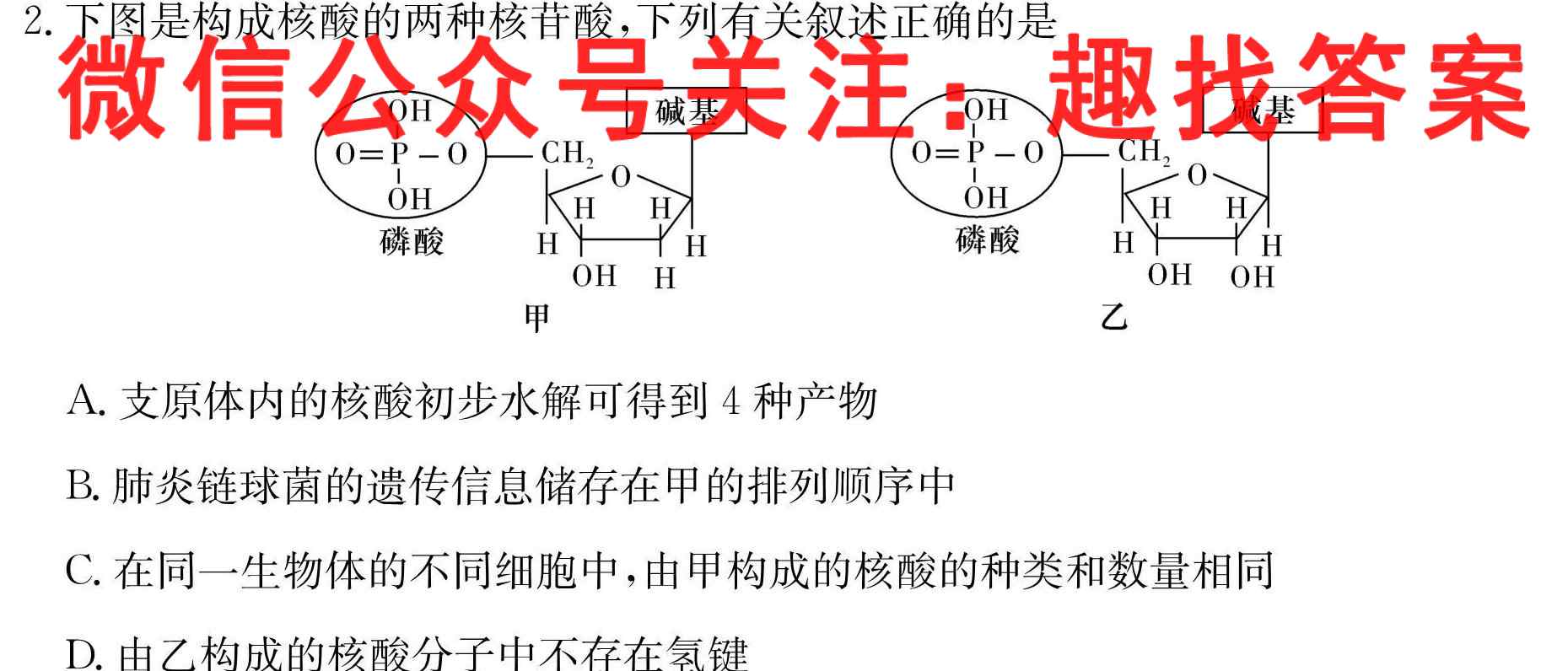 2022-2023学年辽宁省高二期末考试(23-249B)生物试卷答案