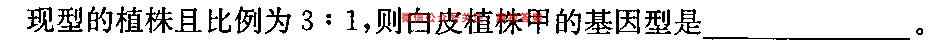 2023届全国高考分科模拟检测示范卷 新高考1(一)生物