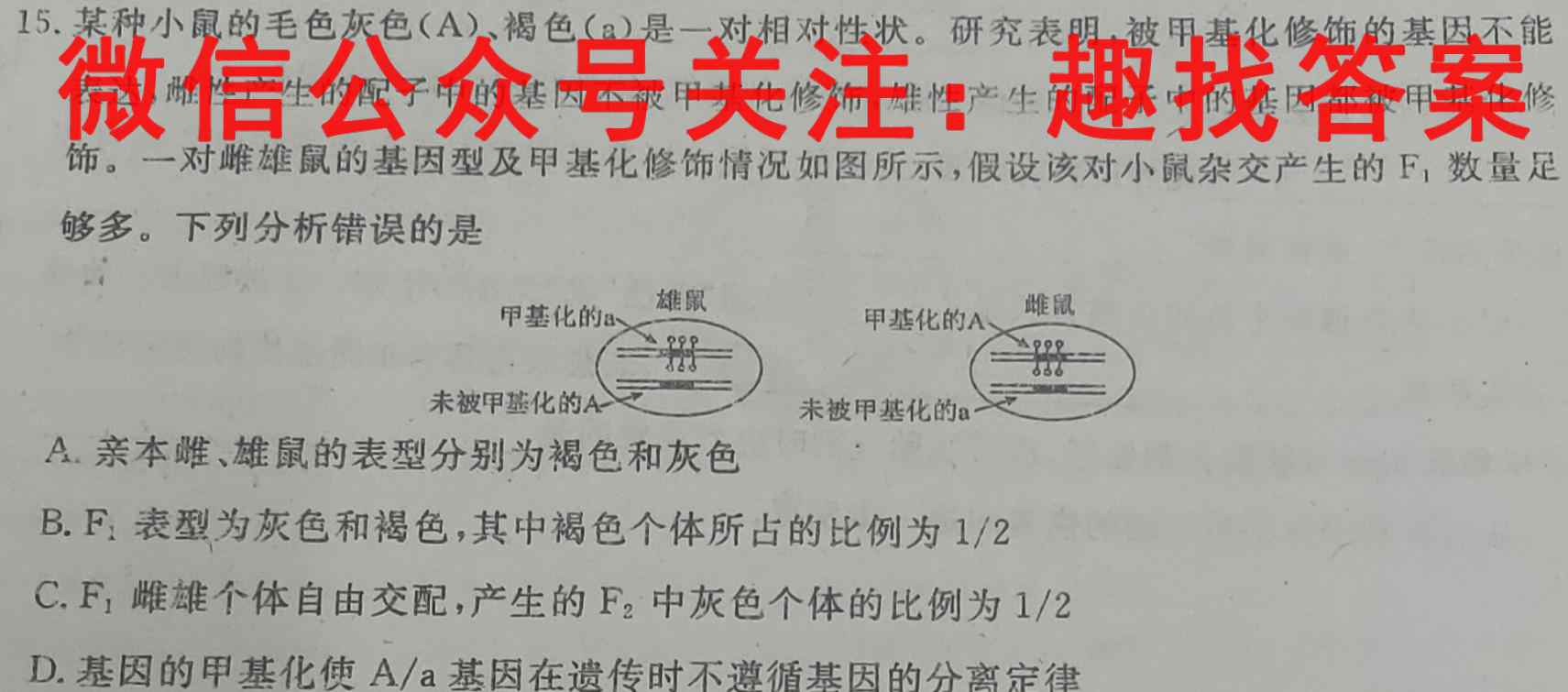 2023普通高校招生全国统一考试·模拟信息卷QG(4四)4生物