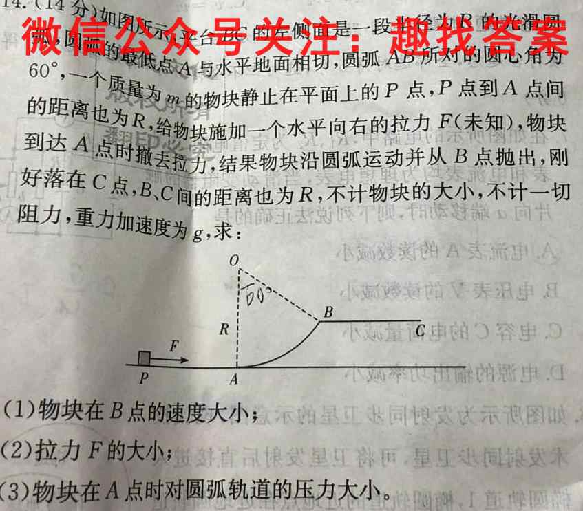 2022-2023学年新乡市高一选科调研第二次测试(23-238A)物理