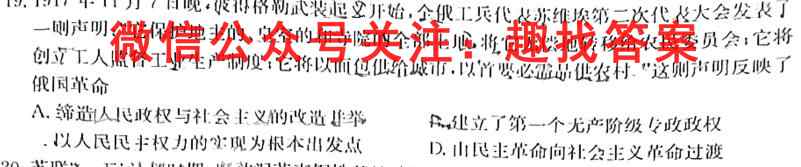 2023年普通高等学校招生统一考试模拟信息卷 新S3(五)历史试卷