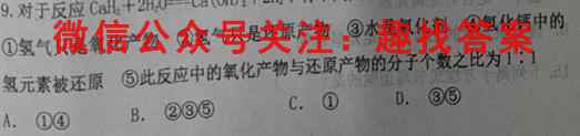 湖北省2022-2023学年度上学期高二武汉市重点中学4G+联合体期末考试化学