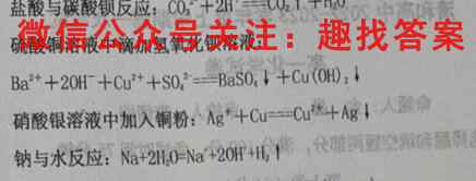 2023届天一大联考(新教材)高考全真模拟卷3(三)化学