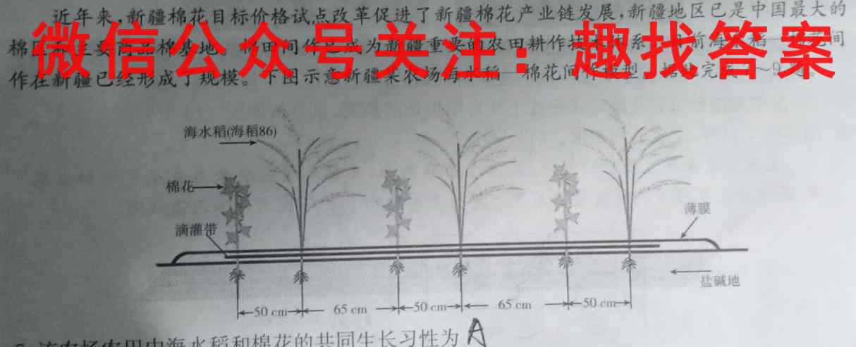 2023届百师联盟高三一轮复*联考(四)湖北卷地理