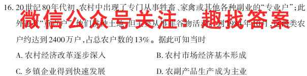 2023届高三总复习·XS3名师原创模拟(十)10历史
