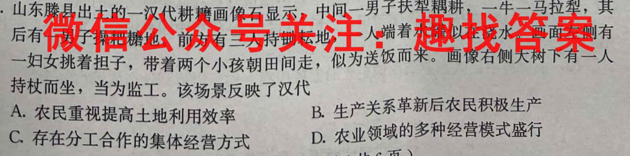 2022-2023学年非凡吉创高三TOP二十名校十二月调研考历史试卷