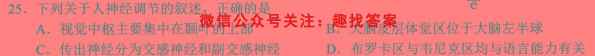 2023届衡中同卷 调研卷 全国卷(四)4生物试卷答案