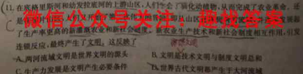 广西国品文化2022~2023年高考桂柳综合模拟金卷(4四)历史