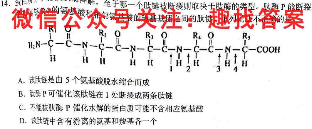 辽宁省沈阳市重点高中2022-2023学年度(上)联合体高三期中检测生物