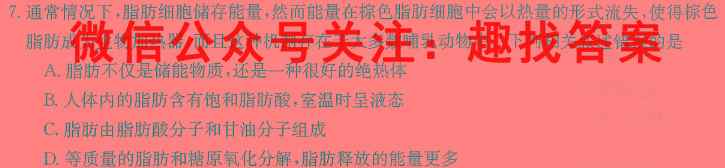 2023年普通高等学校全国统一模拟招生考试新未来12月高二联考生物试卷答案