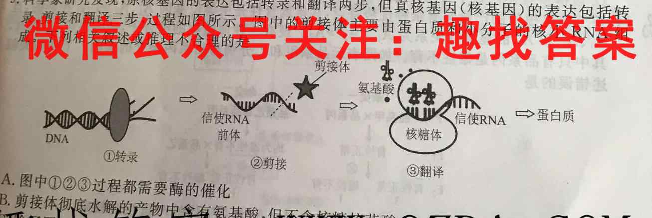 赣州市2022~2023高三第一学期期末考试生物试卷答案