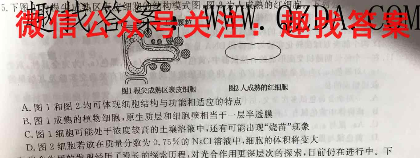 2023年全国高考仿真模拟卷(一)生物