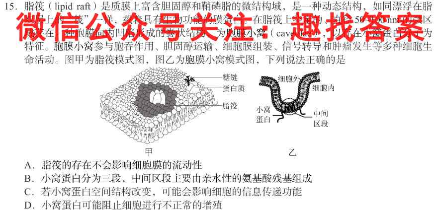 衡中同卷 2022-2023学年度高考分科综合测试卷 新教材/新高考(二)2生物试卷答案