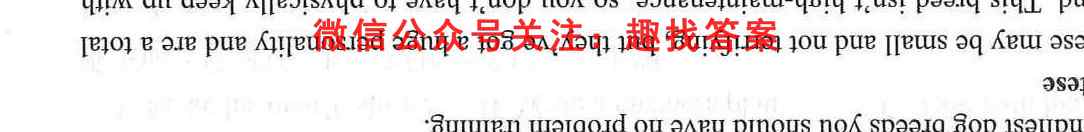 2023届全国高考调研模拟试卷 新教材-L(五)5英语