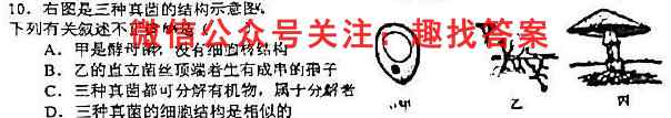 2023届普通高等学校招生全国统一考试仿真模拟卷(五)5生物试卷答案