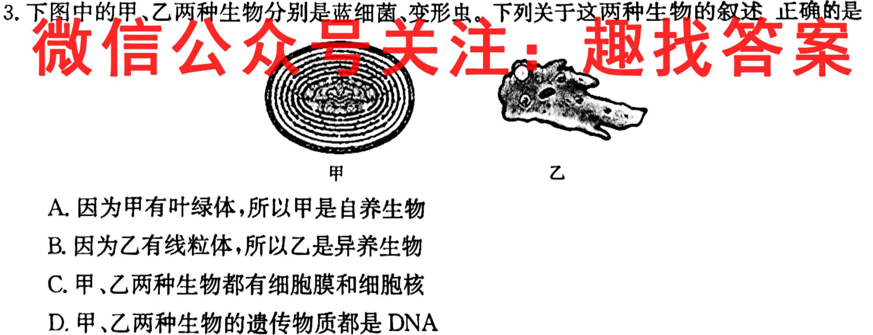 东莞市2022-2023学年高二第一学期七校联考生物
