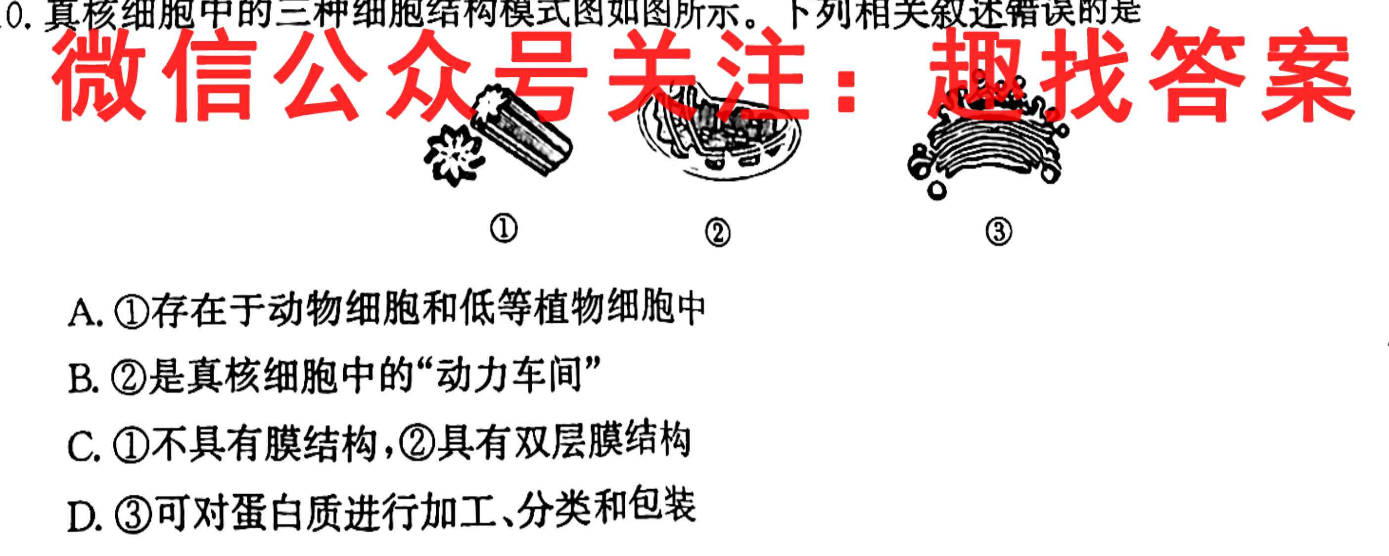 湖北省襄阳五中2022-2023学年高一上学期12月考试生物试卷答案