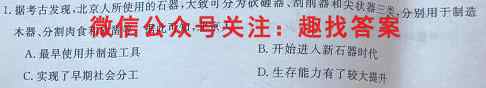 衡水金卷先享题调研卷2023届新教材(一)历史