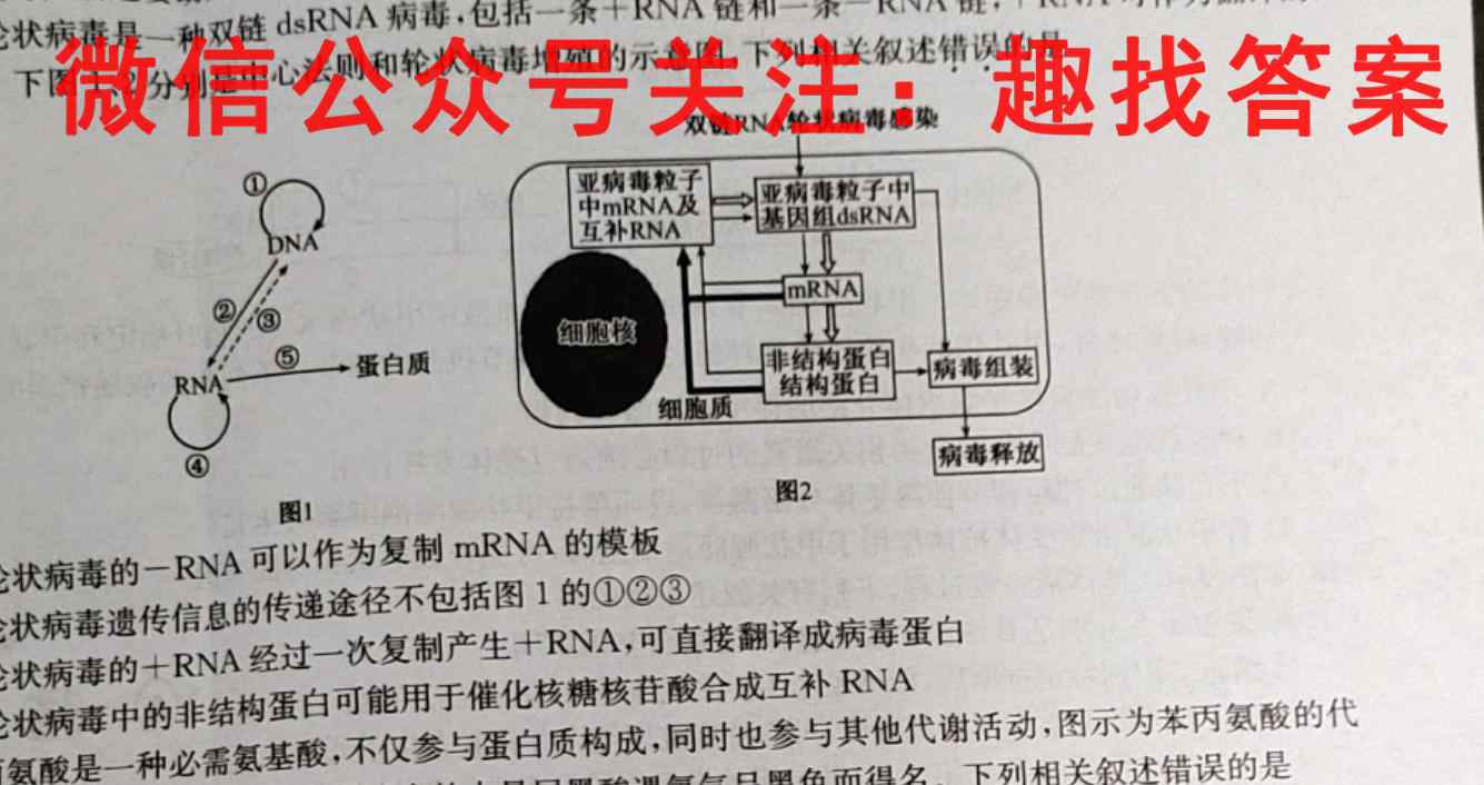 山东省枣庄三中2022~2023学年度高一第一学期期中生物