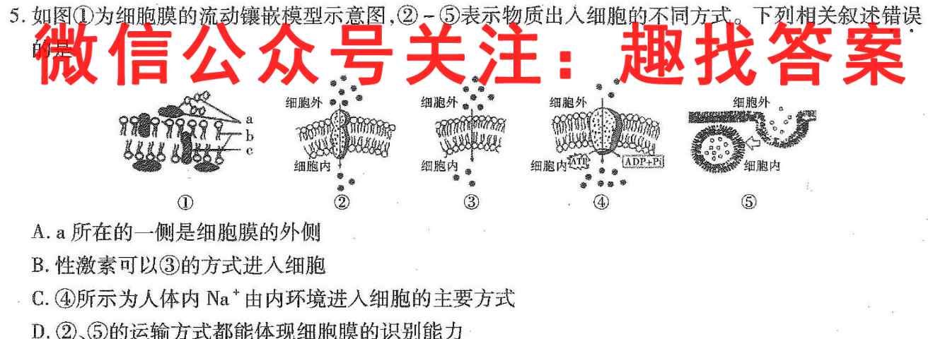 武汉市部分重点中学2022-2023雅礼中学高二上学期期中联考生物