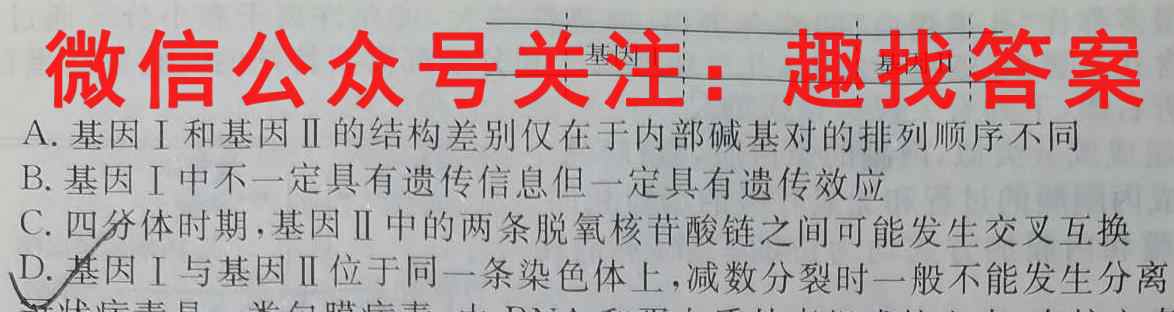 2023年普通高等学校招生全国统一考试·仿真模拟卷(六)6生物