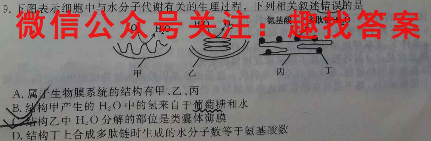 武汉市部分重点中学2022-2023雅礼中学高二上学期期中联考生物