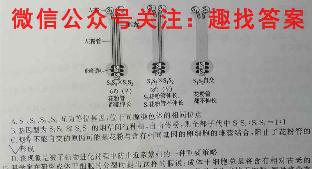 2023届百师联盟高三一轮复*联考(四)山东卷生物试卷答案