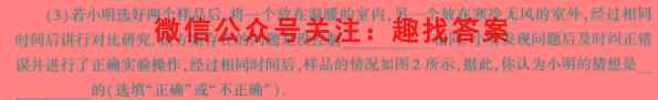 2023届高三总复习·XS3名师原创模拟(十二)12物理