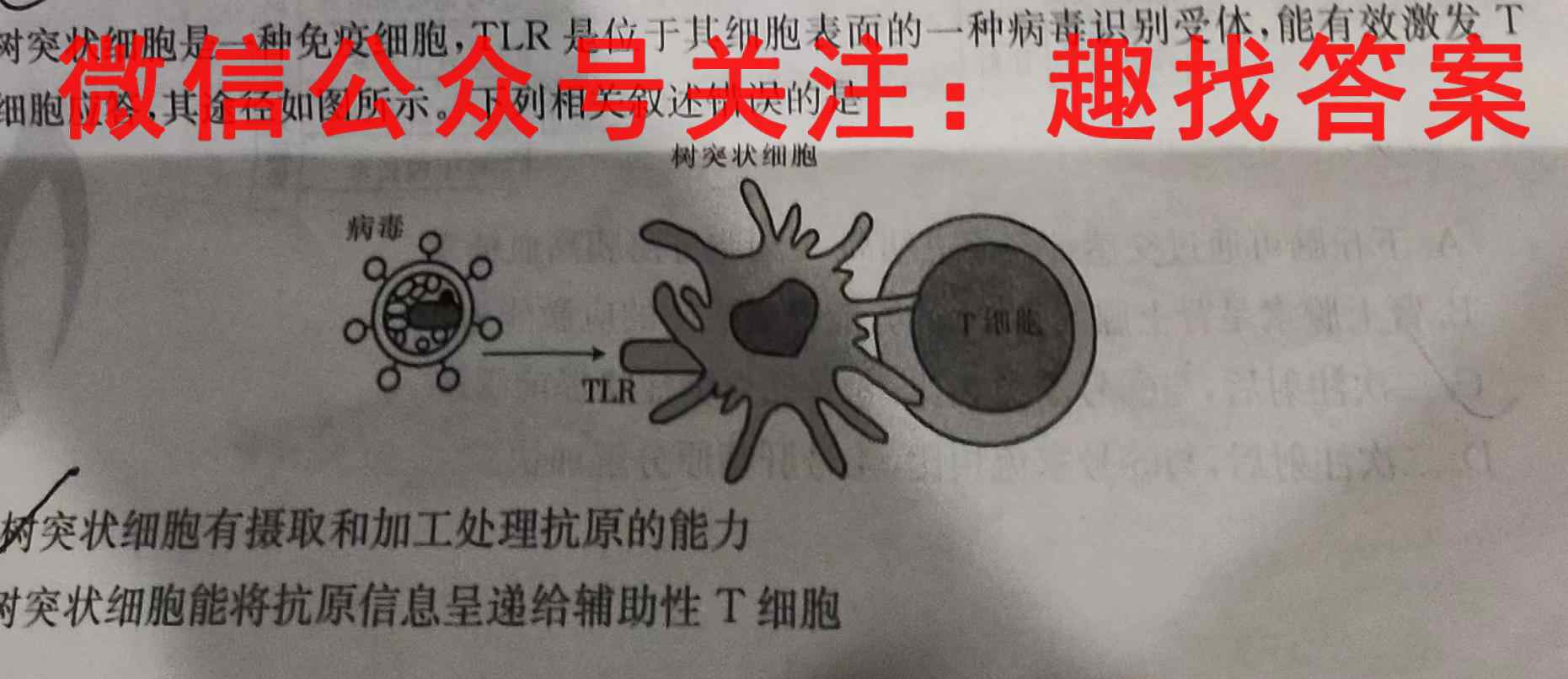 重庆市西南大学附属中学校2022~2023学年度上期学情调研高一生物