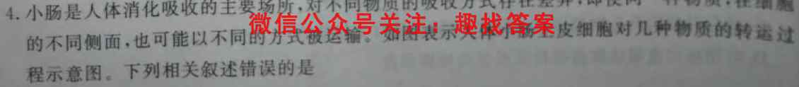 2023新高考单科综合卷(四)生物