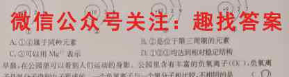 安徽省2022-2023学年第一学期九年级联考化学
