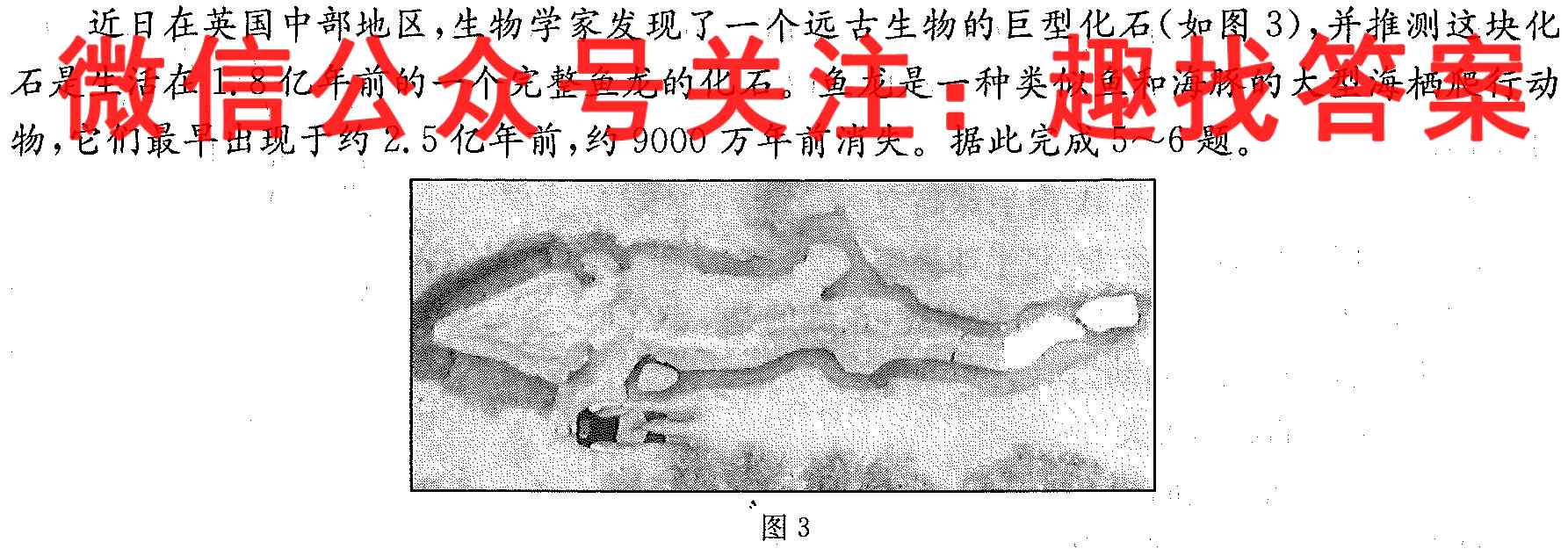 贵州省文德中学2022-2023学年高三(上)学期第三次月考卷(23199C)政治试卷答案