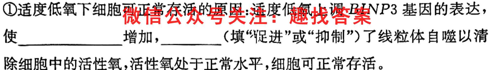 2023届衡水金卷先享题调研卷 新高考(四)生物