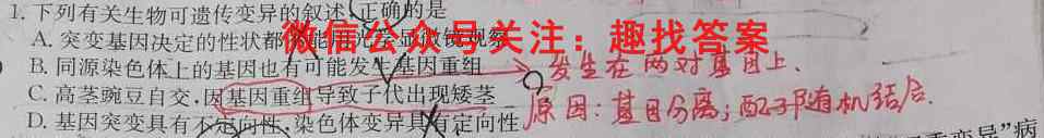 陕西省2022-2023九年级第一学期第二阶段检测试题(卷)生物