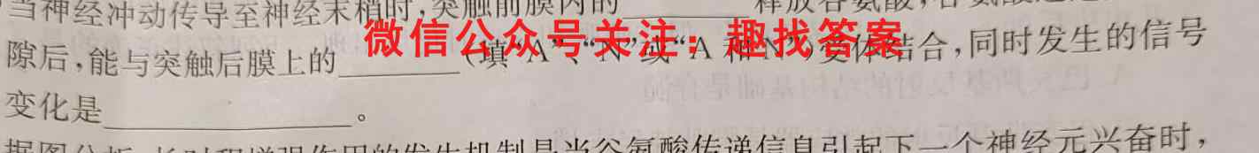 2023年全国高考·模拟调研卷4生物试卷答案