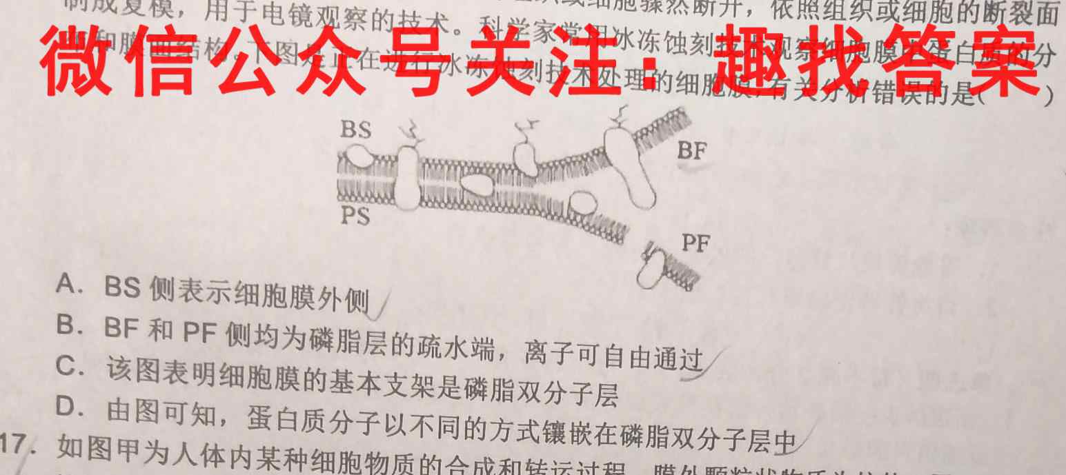 2023届天一大联考 高考全真模拟卷 老高考(七)生物