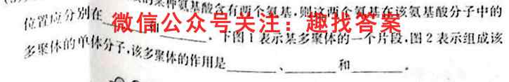 江苏省2023年普通高中学业水平高二测试卷(23-169B)生物