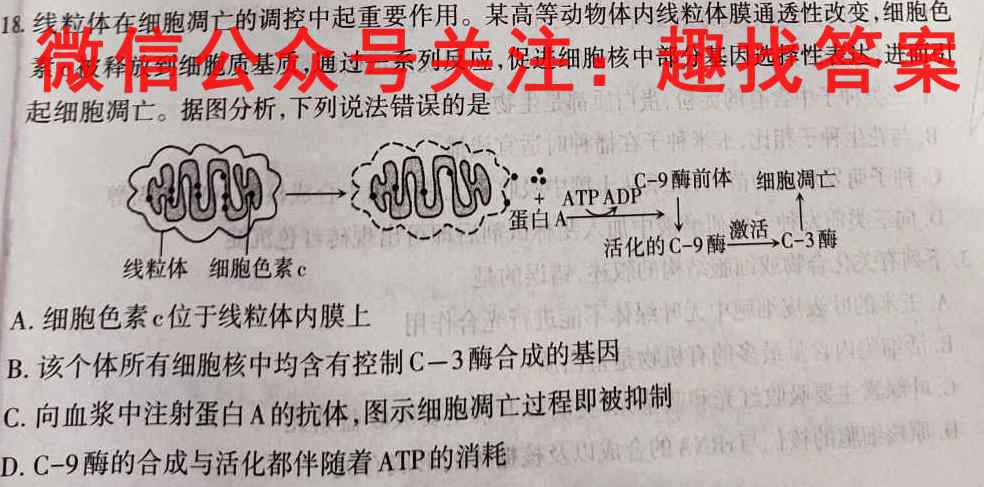 天一大联考 2022-2023学年海南省高考全真模拟卷4(四)生物试卷答案