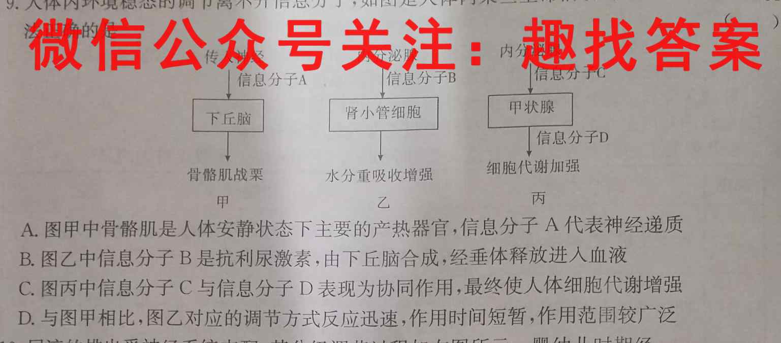 广西2023届高三12月联考(E3032C)生物