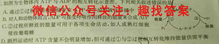 2022-2023学年贵州省2024届高二"三新"改革联盟校联考试卷(6六)生物试卷答案