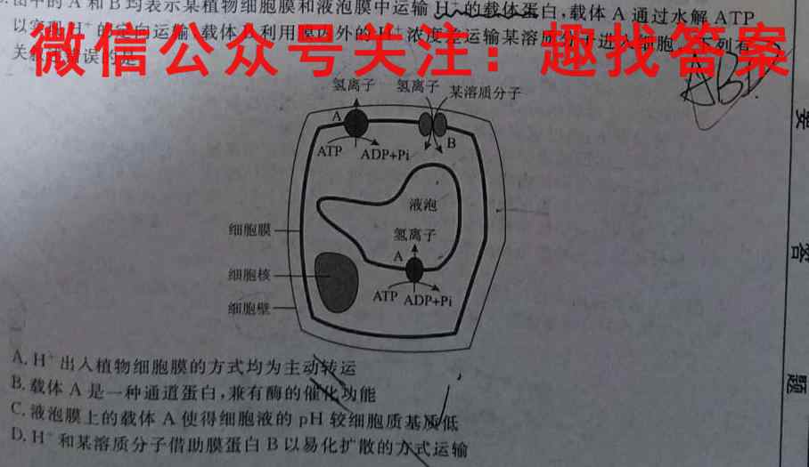 贵州省文德中学2022-2023学年高三(上)学期第三次月考卷(23199C)生物