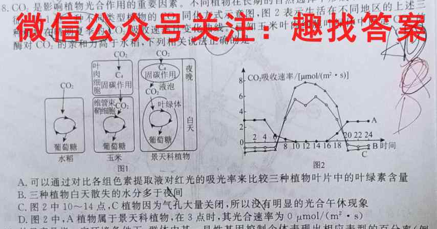 2023年全国高考·模拟调研卷LLY(二三四)生物