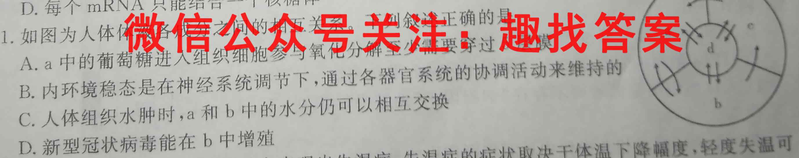 2023年普通高等学校招生全国统一考试·仿真模拟卷2(二)生物试卷答案