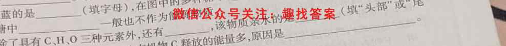 金考卷·百校联盟(新高考卷)2023年普通高等学校招生全国统一考试 领航卷(五)5生物