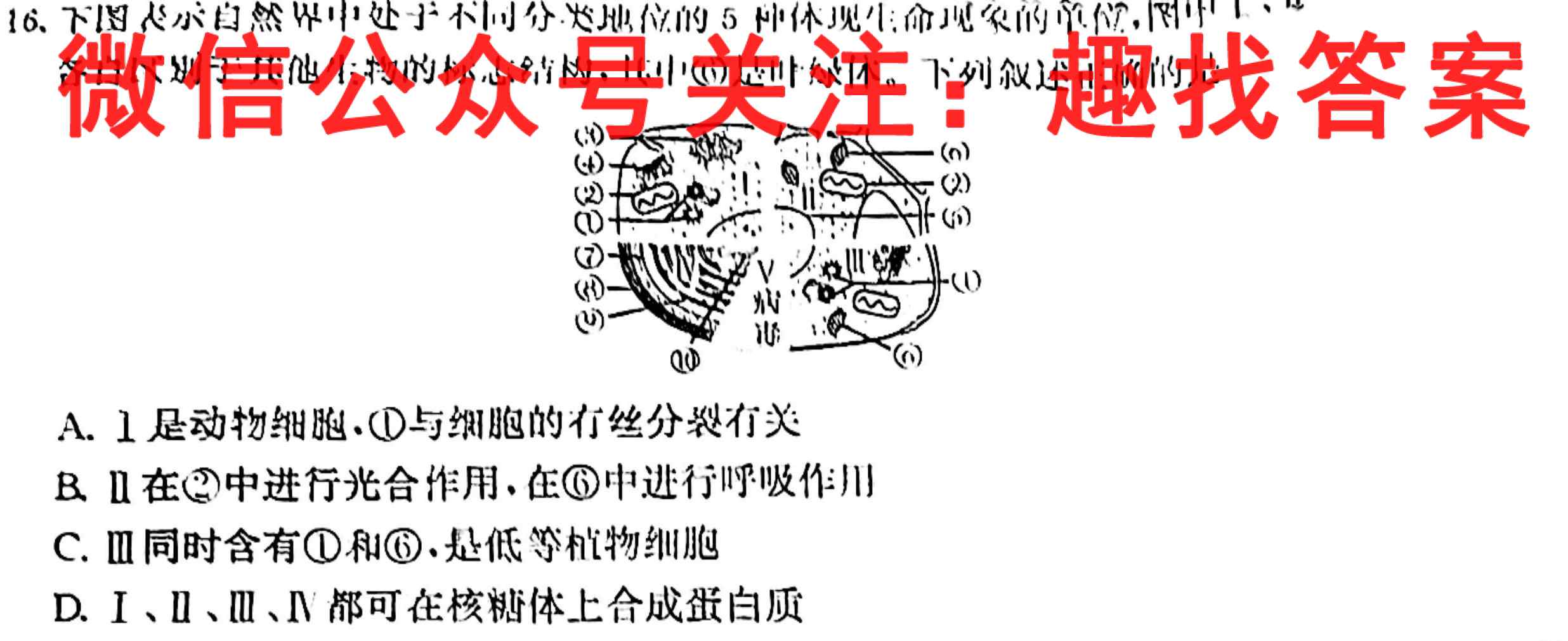 2023届广州市高三年级调研测试生物