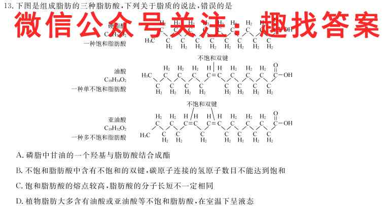 黑龙江省实验中学2022-2023雅礼中学高一学年上学期期中考试生物