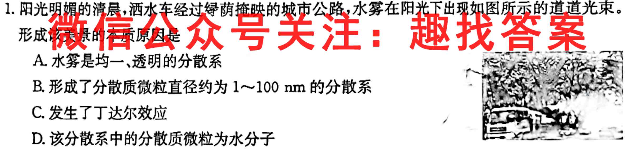 2023普通高等学校招生全国统一考试新高考仿真卷(十二)12化学