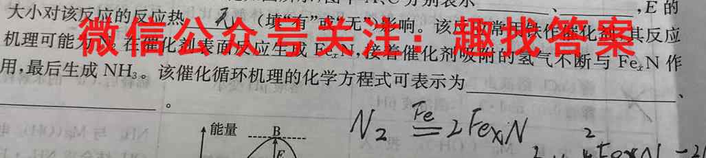 衡水金卷 2023届高三年级12月联考(新教材)化学