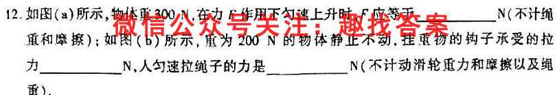2022~2023学年度高三年级上学期期末考试(23376C)物理